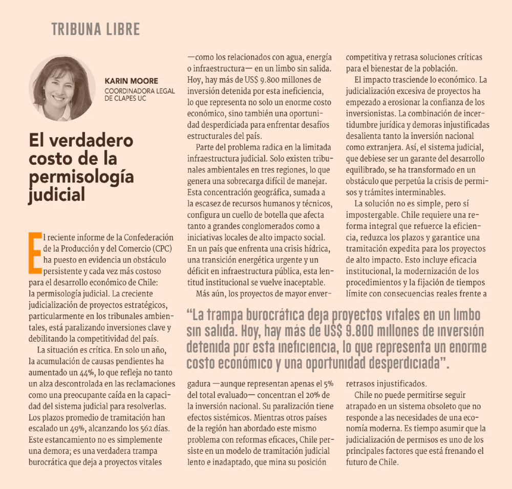 El verdadero costo de la permisología judicial