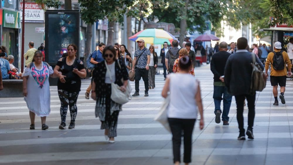 "Estancamiento total": En un año se crearon solo 141 empleos y expertos lanzan duras críticas
